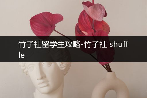竹子社留学生攻略-竹子社 shuffle