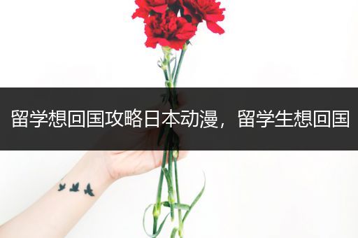 留学想回国攻略日本动漫，留学生想回国