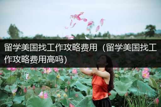 留学美国找工作攻略费用（留学美国找工作攻略费用高吗）