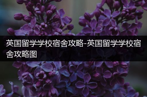 英国留学学校宿舍攻略-英国留学学校宿舍攻略图
