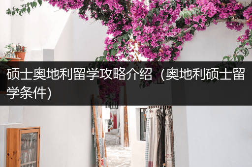 硕士奥地利留学攻略介绍（奥地利硕士留学条件）
