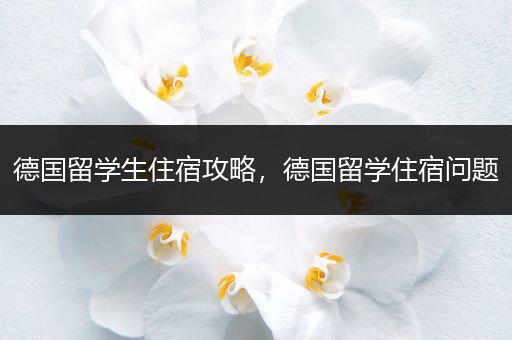 德国留学生住宿攻略，德国留学住宿问题
