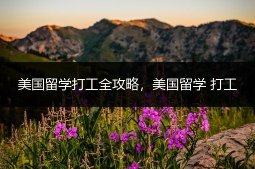 美国留学打工全攻略，美国留学 打工