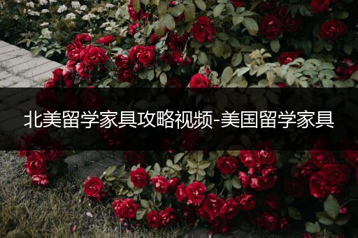 北美留学家具攻略视频-美国留学家具