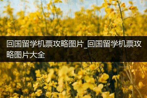 回国留学机票攻略图片_回国留学机票攻略图片大全