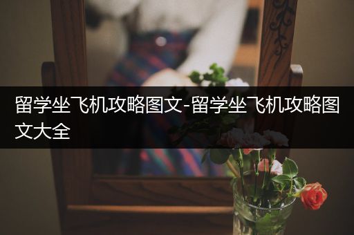留学坐飞机攻略图文-留学坐飞机攻略图文大全