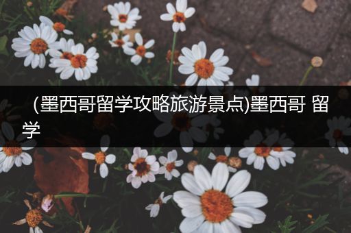 （墨西哥留学攻略旅游景点)墨西哥 留学