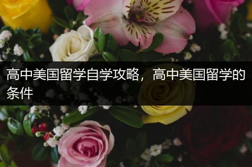 高中美国留学自学攻略，高中美国留学的条件