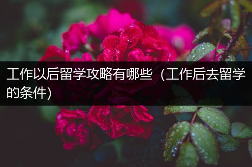 工作以后留学攻略有哪些（工作后去留学的条件）