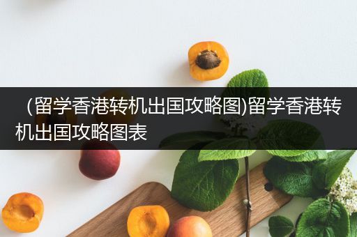（留学香港转机出国攻略图)留学香港转机出国攻略图表