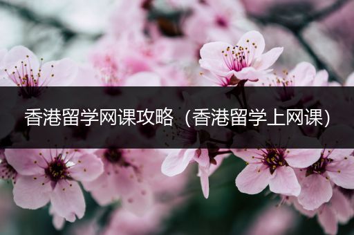 香港留学网课攻略（香港留学上网课）