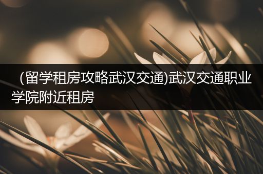 （留学租房攻略武汉交通)武汉交通职业学院附近租房