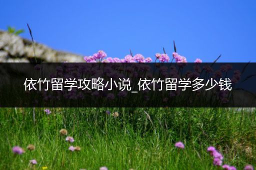 依竹留学攻略小说_依竹留学多少钱