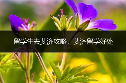 留学生去斐济攻略，斐济留学好处