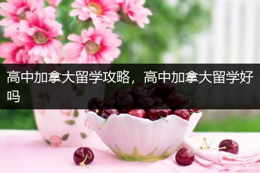 高中加拿大留学攻略，高中加拿大留学好吗