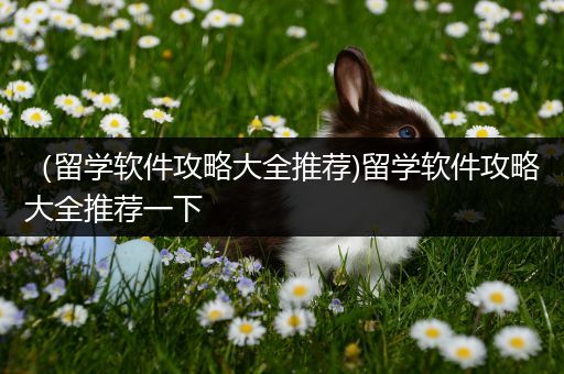 （留学软件攻略大全推荐)留学软件攻略大全推荐一下