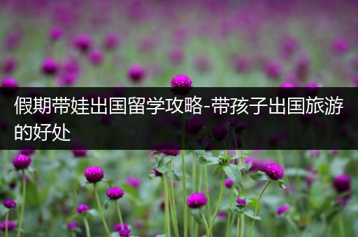 假期带娃出国留学攻略-带孩子出国旅游的好处
