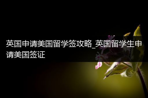 英国申请美国留学签攻略_英国留学生申请美国签证