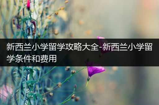 新西兰小学留学攻略大全-新西兰小学留学条件和费用