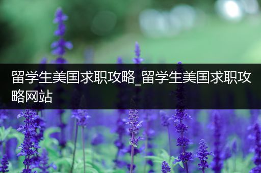 留学生美国求职攻略_留学生美国求职攻略网站