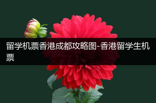 留学机票香港成都攻略图-香港留学生机票