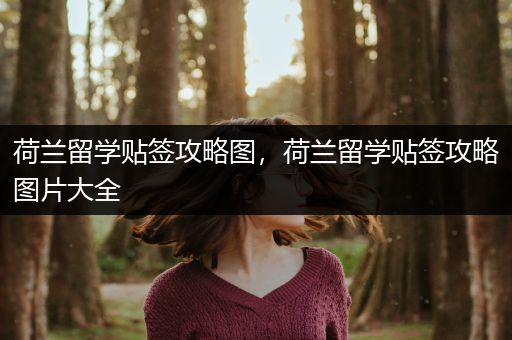 荷兰留学贴签攻略图，荷兰留学贴签攻略图片大全