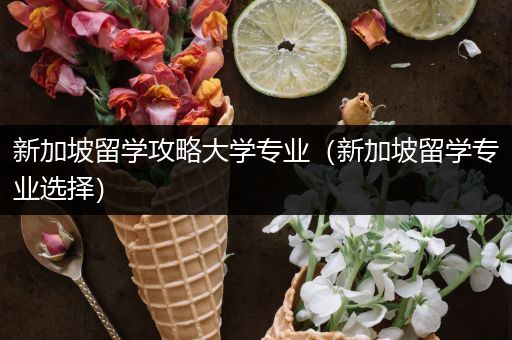 新加坡留学攻略大学专业（新加坡留学专业选择）