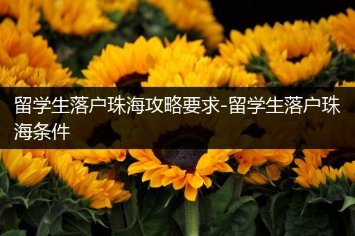 留学生落户珠海攻略要求-留学生落户珠海条件