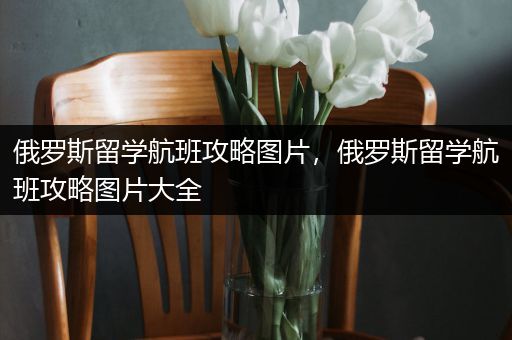 俄罗斯留学航班攻略图片，俄罗斯留学航班攻略图片大全