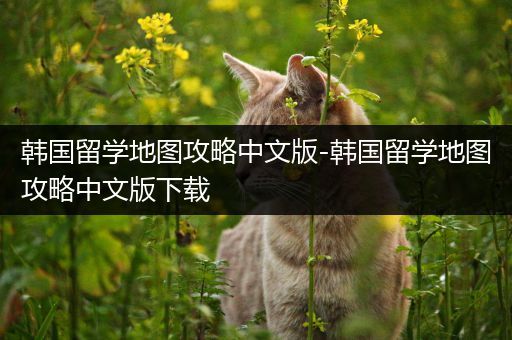 韩国留学地图攻略中文版-韩国留学地图攻略中文版下载