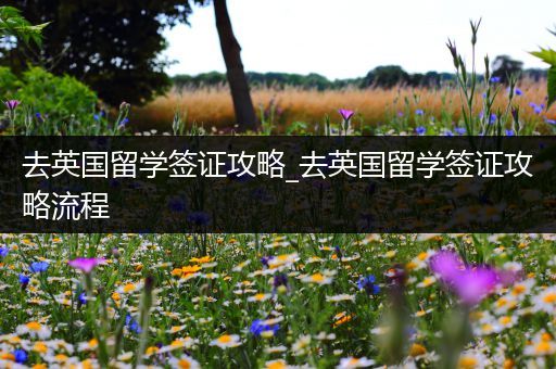去英国留学签证攻略_去英国留学签证攻略流程