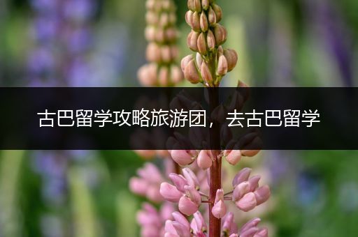 古巴留学攻略旅游团，去古巴留学
