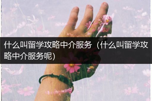 什么叫留学攻略中介服务（什么叫留学攻略中介服务呢）