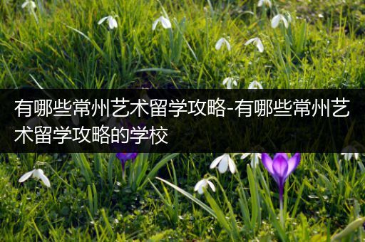 有哪些常州艺术留学攻略-有哪些常州艺术留学攻略的学校