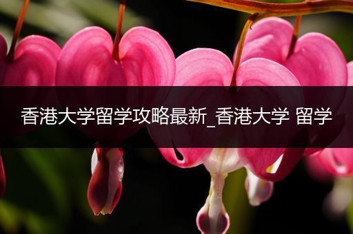香港大学留学攻略最新_香港大学 留学