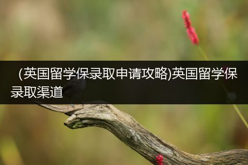 （英国留学保录取申请攻略)英国留学保录取渠道