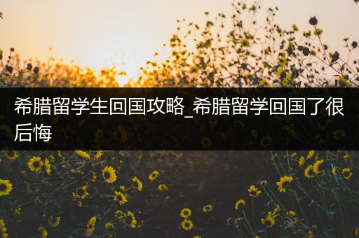 希腊留学生回国攻略_希腊留学回国了很后悔