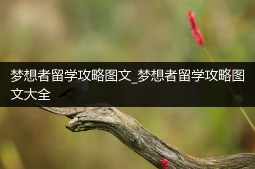 梦想者留学攻略图文_梦想者留学攻略图文大全