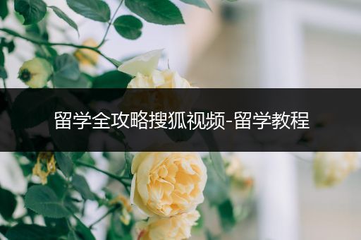 留学全攻略搜狐视频-留学教程