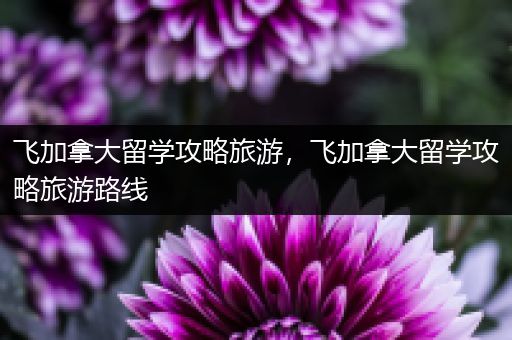 飞加拿大留学攻略旅游，飞加拿大留学攻略旅游路线