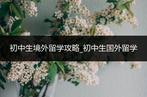 初中生境外留学攻略_初中生国外留学