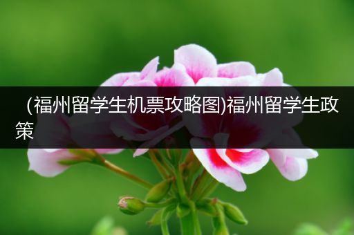 （福州留学生机票攻略图)福州留学生政策