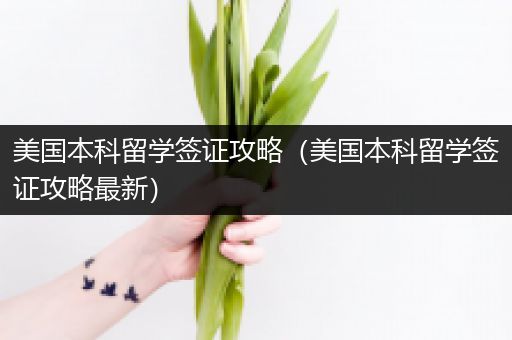美国本科留学签证攻略（美国本科留学签证攻略最新）