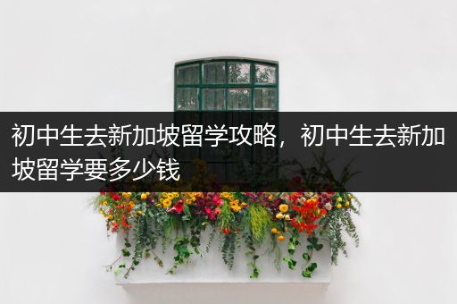初中生去新加坡留学攻略，初中生去新加坡留学要多少钱
