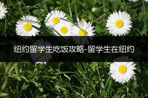 纽约留学生吃饭攻略-留学生在纽约