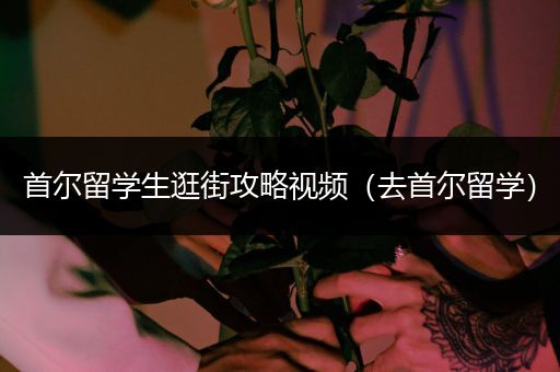 首尔留学生逛街攻略视频（去首尔留学）