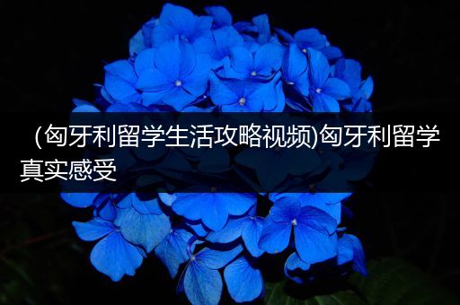 （匈牙利留学生活攻略视频)匈牙利留学真实感受