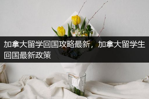 加拿大留学回国攻略最新，加拿大留学生回国最新政策