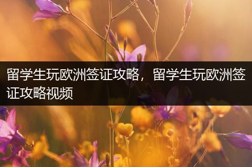 留学生玩欧洲签证攻略，留学生玩欧洲签证攻略视频
