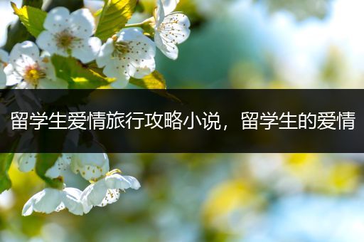 留学生爱情旅行攻略小说，留学生的爱情